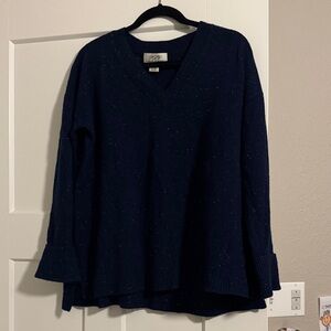 Ply Cashmere Navy Blue marked V-Neck Sweater